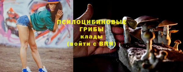 прущие крисы Абаза