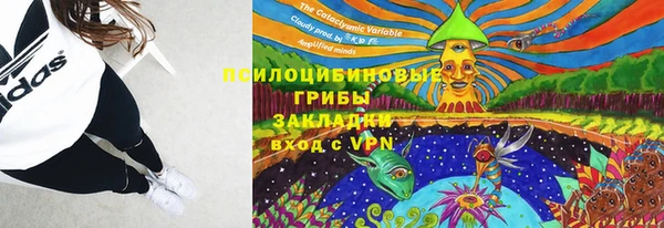 дмт Няндома