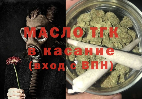 крисы Каменка